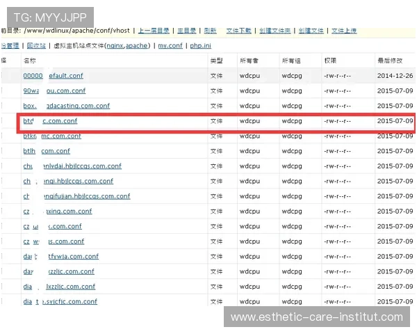 凯时网址登录线路最新优化方案确保玩家顺畅体验全方位指南 凯时网址登录线路最新优化方案确保玩家顺畅体验全方位指南